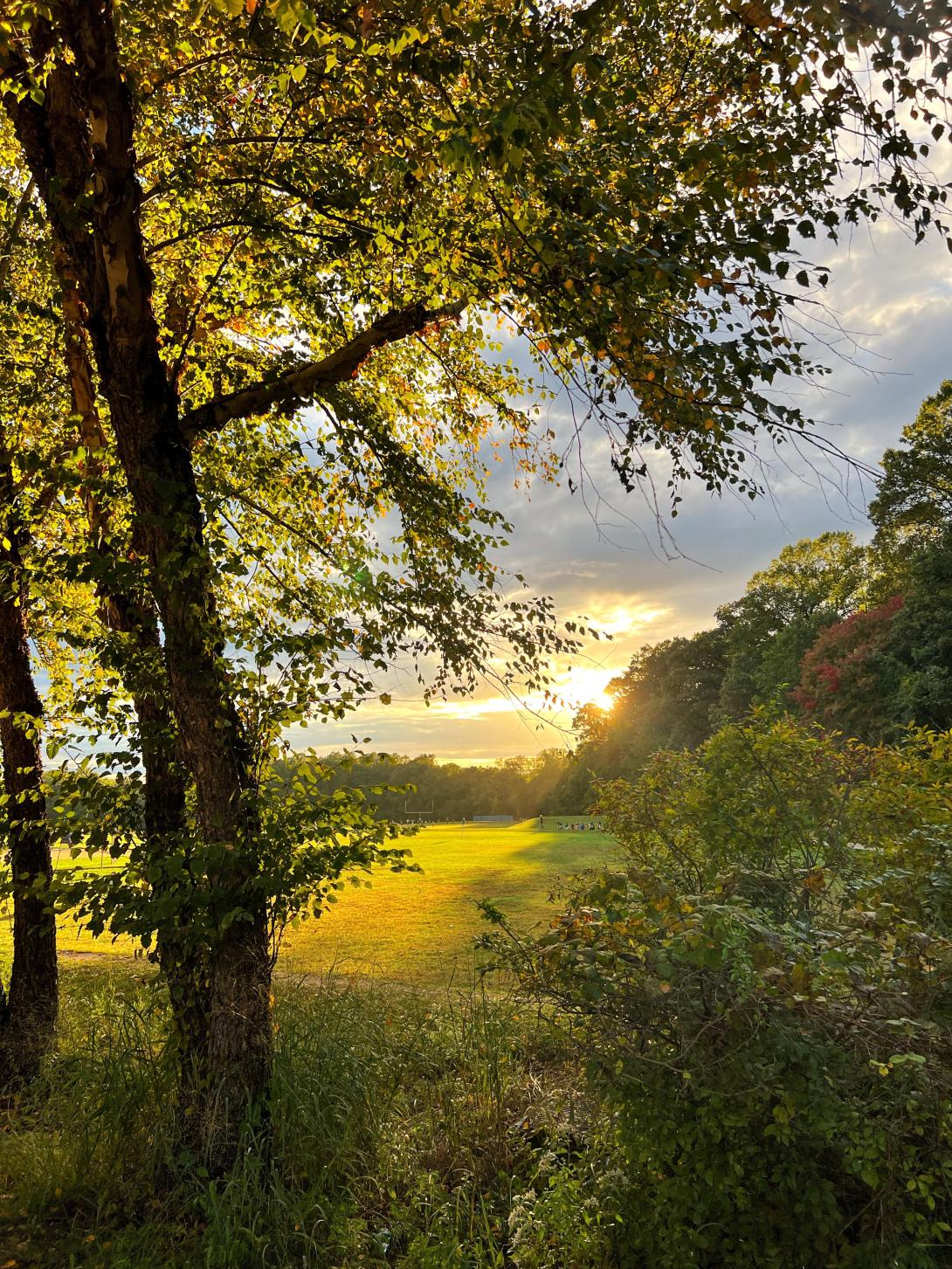 Sun shining out from behind trees and valley.