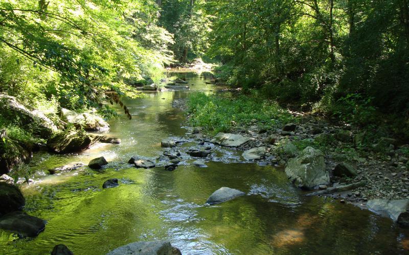 Patuxent River